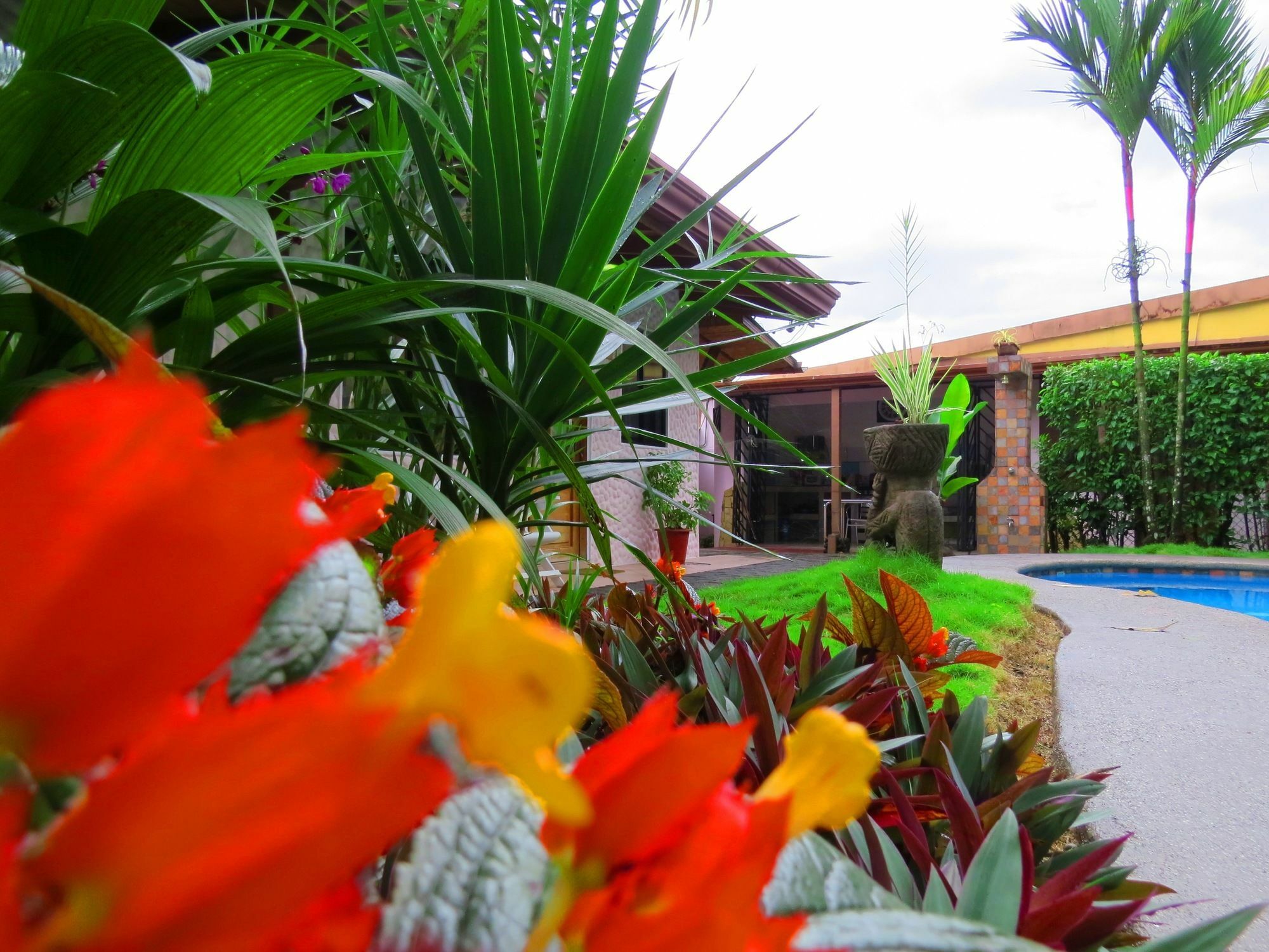 Hotel Vagabondo La Fortuna Luaran gambar